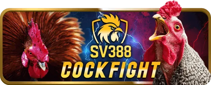 Hỗ trợ Email 66bet