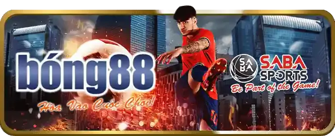 Cá cược thể thao 66bet